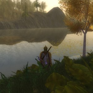 Banks of the River Anduin
